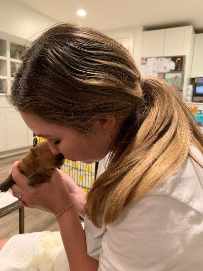 Working hard to keep puppies alive